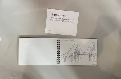 blind contour