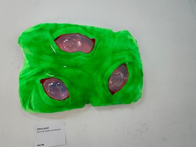 lotus pod