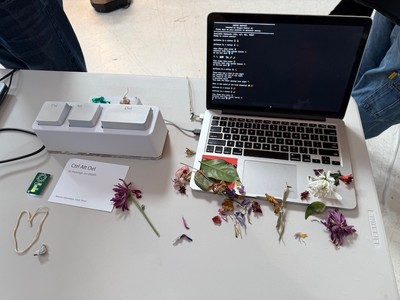 Ctrl Alt Del